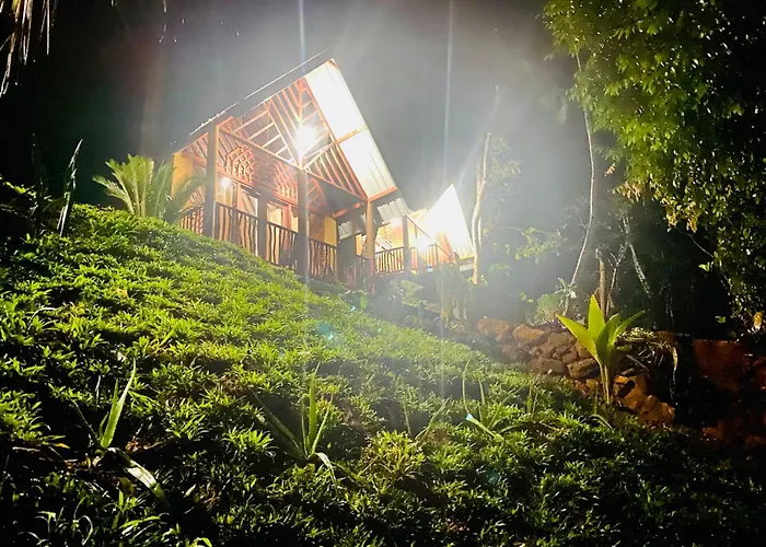 The Rainforest Hideaway